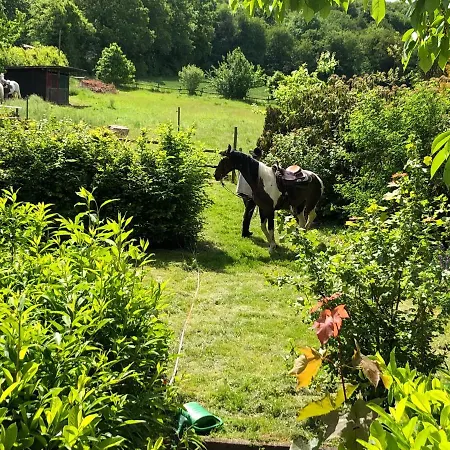 Vor Burg Eltz Bed & Breakfast